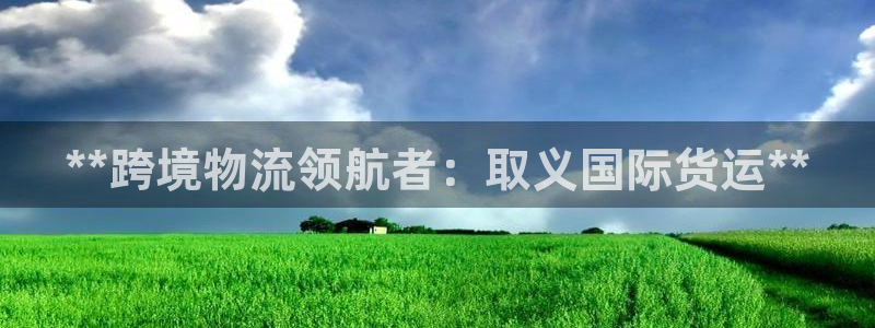 尊龙凯时城游戏官网：**跨境物流领航者：取义国际货运**