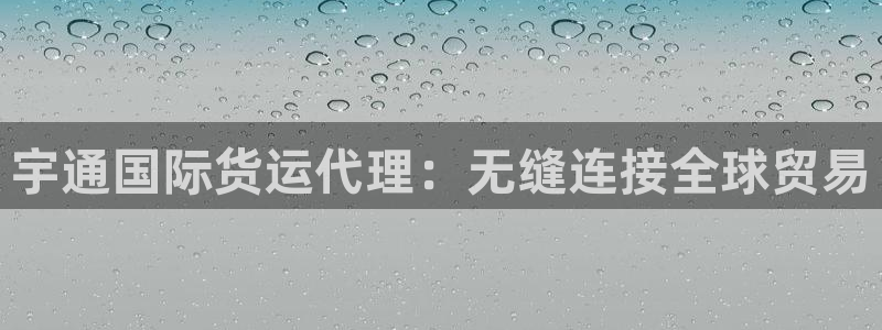 z6尊龙官网：宇通国际货运代理：无缝连接全球贸易